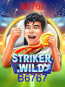 StrikerWILD